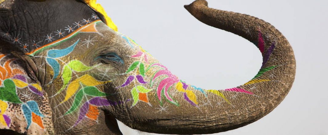 The five elephants in India’s tourism closet