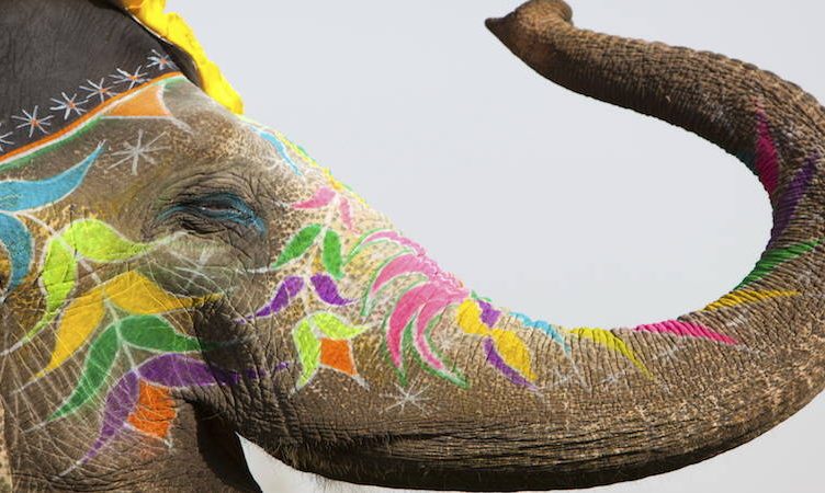 The five elephants in India’s tourism closet