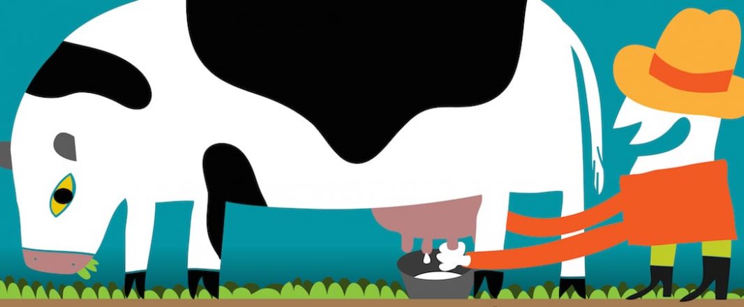 You got to milk the cow to survive in the OTA farm