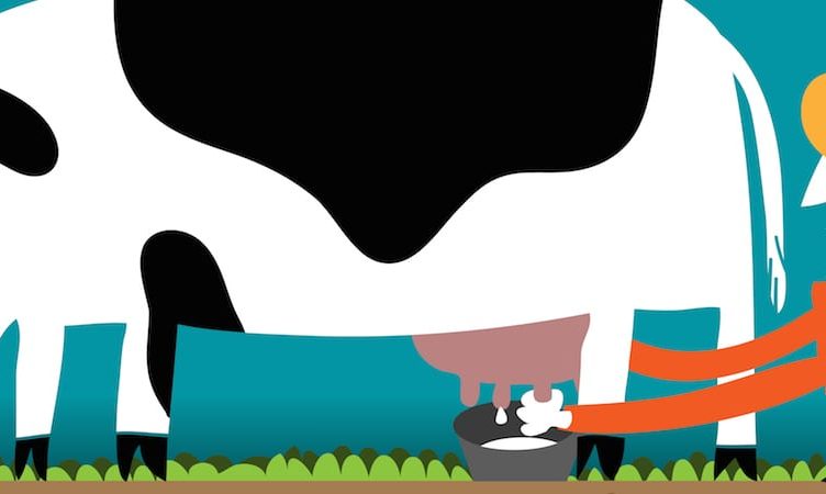 You got to milk the cow to survive in the OTA farm