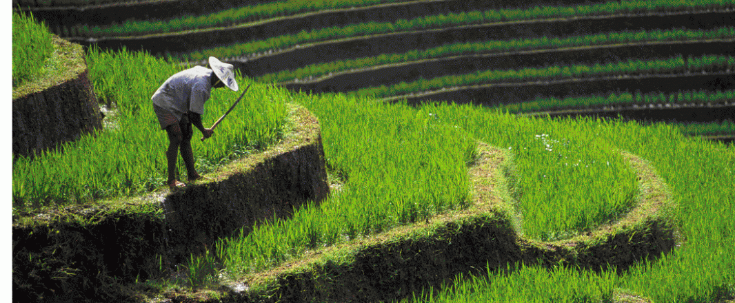 Venture Republic buys Flocations to strengthen travel offerings in Southeast Asia