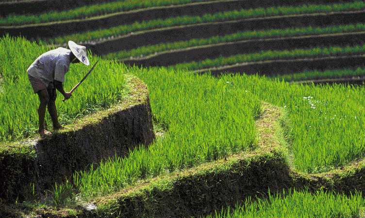 Venture Republic buys Flocations to strengthen travel offerings in Southeast Asia