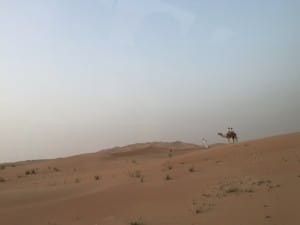 Among the activities offered by GetYourGuide in Dubai is a Desert Safari with a private dinner to round off the experience