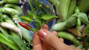 20150715_123358