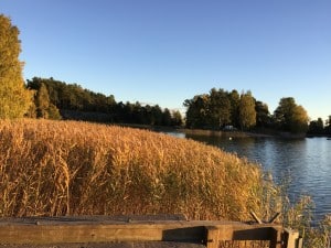 The grounds of the Hilton – as autumn gives way to winter