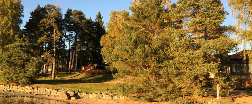 Letter to Jukka: The lost art of waiting and conversations