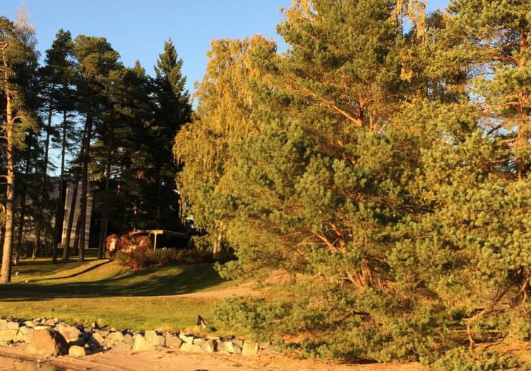 Letter to Jukka: The lost art of waiting and conversations