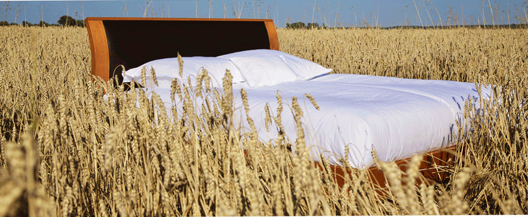 The Wrap: California dreaming or French cuddle? Find out in KAYAK’s bed guide