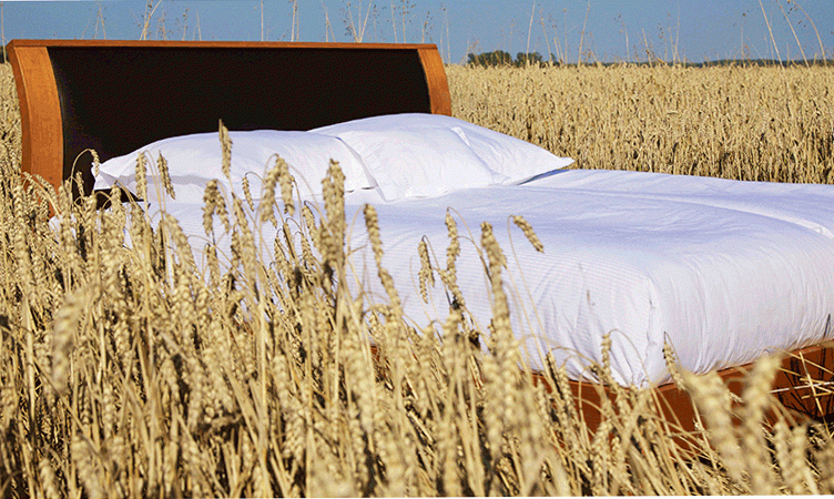 The Wrap: California dreaming or French cuddle? Find out in KAYAK’s bed guide