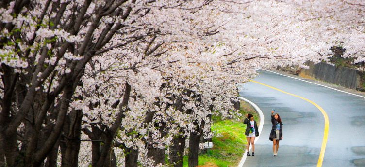 Keen on Korea? Come learn about local market tactics at WIT Seoul