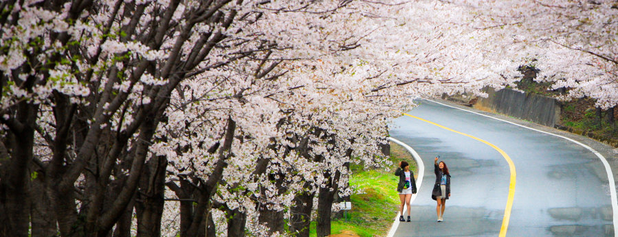 Keen on Korea? Come learn about local market tactics at WIT Seoul