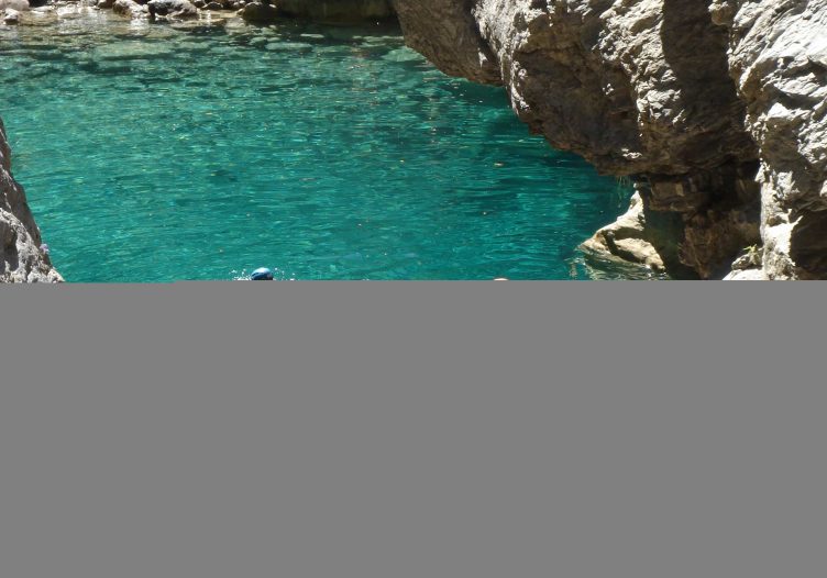 Tours and activities were once considered the ugly ducklings of travel, but things are changing