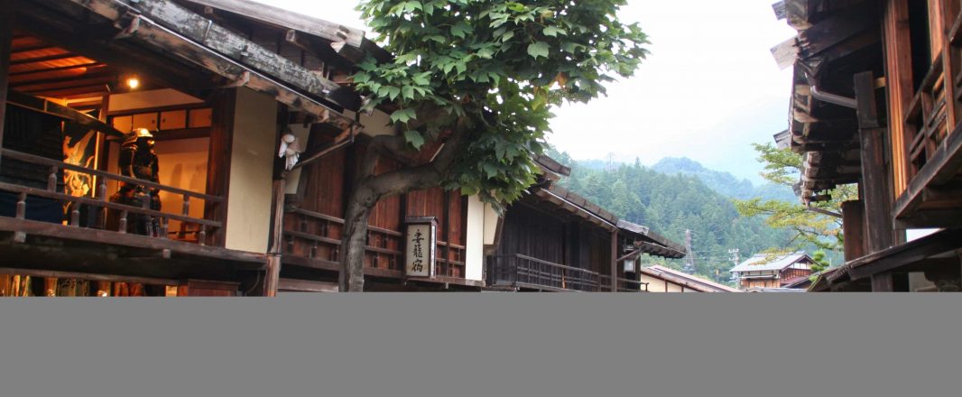 The Millennial Traveller: Not all dogs need new tricks, says Walk Japan’s Paul Christie