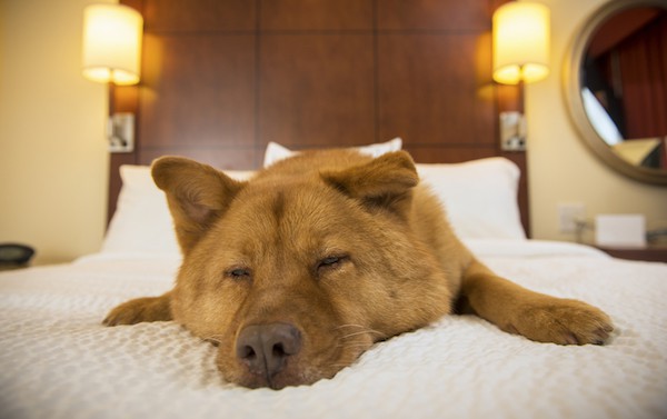 Family on vacation may appreciate a free extra bed. (Image credit: WebSubstance/iStock)