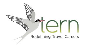 Tern | Digital Travel Careers | WIT