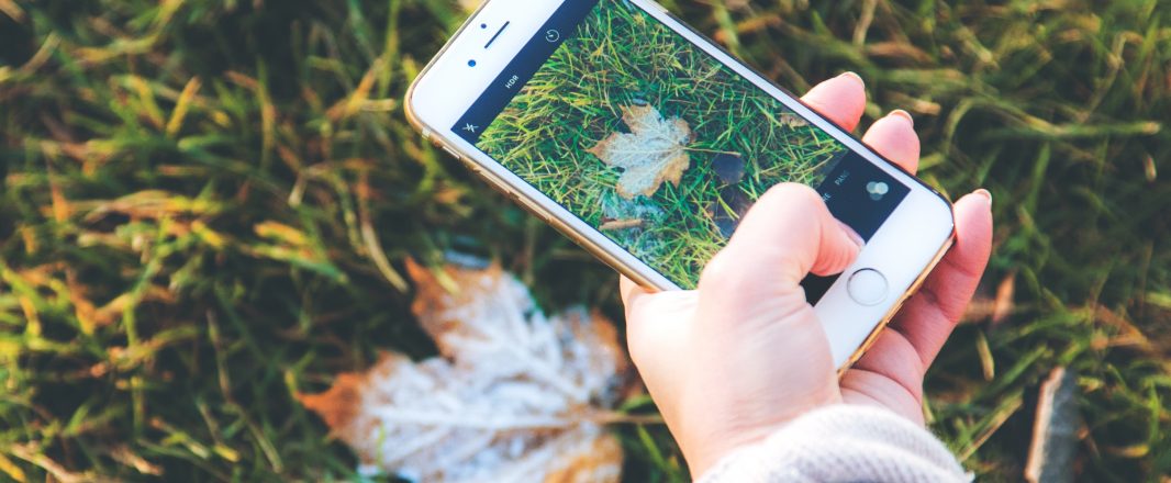 TNS Connected Life 2016 study: Instagram and Snapchat on the rise in APAC