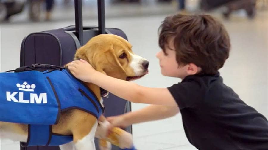 tdy_tren_puppy_140925-today-inline-vid-featured-desktop