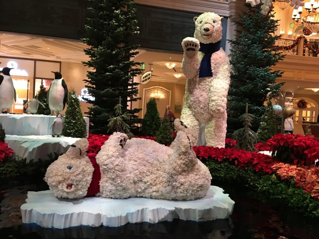 bears