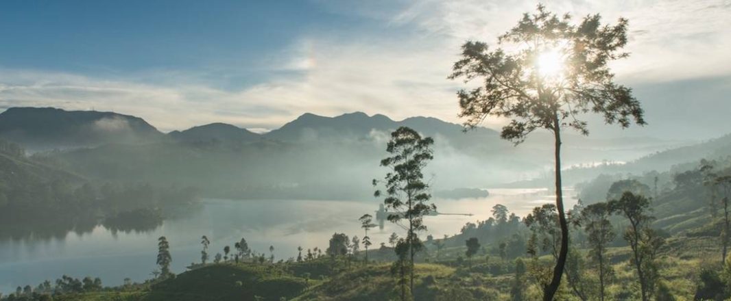 The Wrap: Where luxury travellers want to go for their holidays