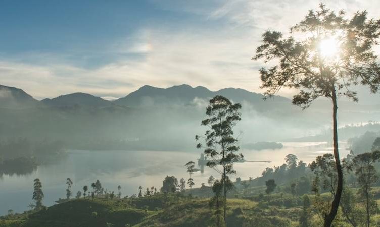 The Wrap: Where luxury travellers want to go for their holidays