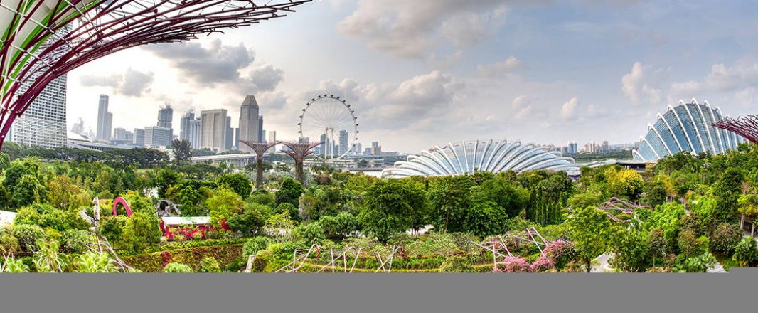 The Wrap: Singapore tourism ends 2016 on a high note