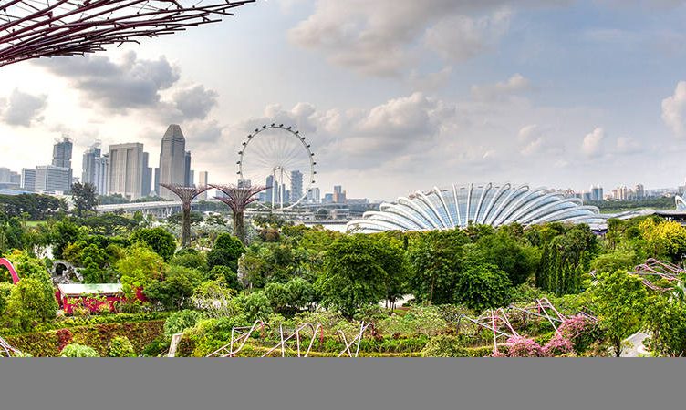 The Wrap: Singapore tourism ends 2016 on a high note