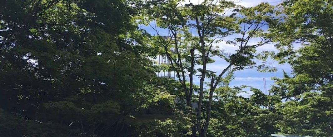 Letter from Karuizawa: Of domestic sausages, chowa and online battles