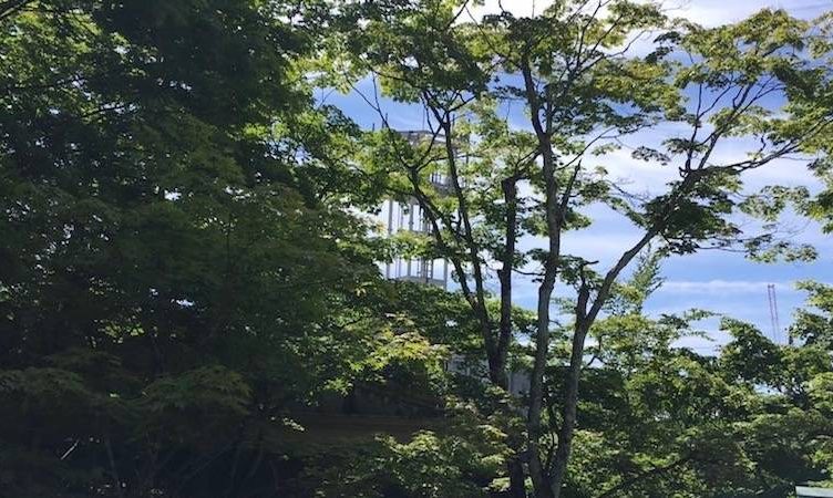 Letter from Karuizawa: Of domestic sausages, chowa and online battles