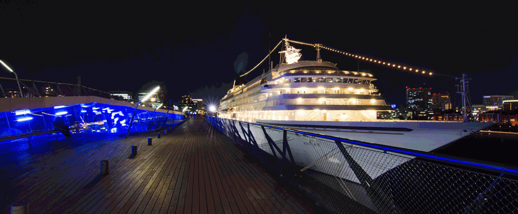 As cruises grow in Asia, will tech and customer behaviour converge to rock the boat?