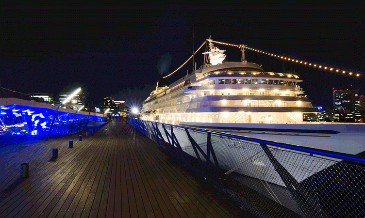 As cruises grow in Asia, will tech and customer behaviour converge to rock the boat?