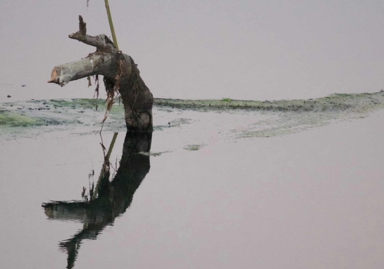 Letter from Assam, Part 2: Breakfast with the birds, lunch with monks and dinner around the fire