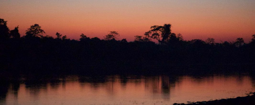 Letter from Assam, Part 3: Creatures great and small, and sunsets to make you weep in Kaziranga