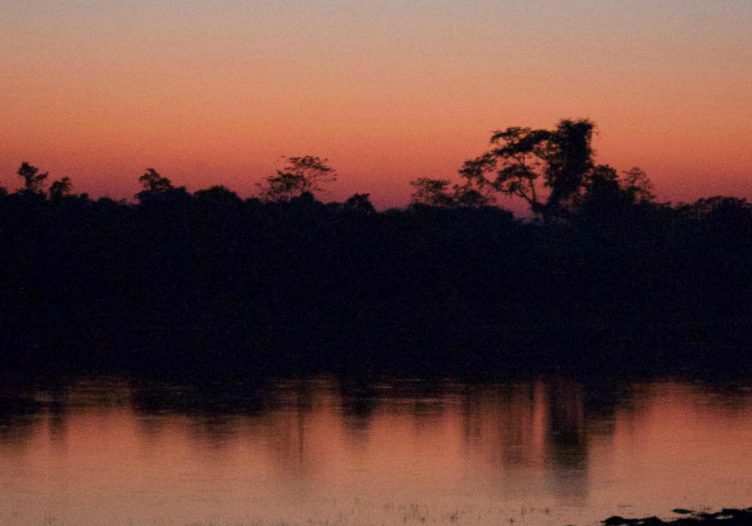Letter from Assam, Part 3: Creatures great and small, and sunsets to make you weep in Kaziranga