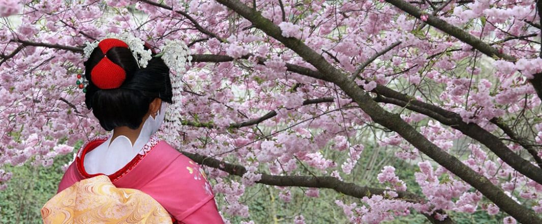 Of travel fairs and Japan: A Malaysian love story
