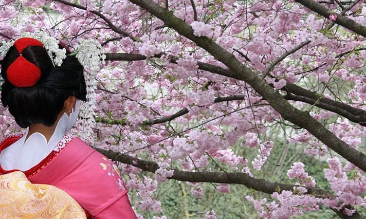 Of travel fairs and Japan: A Malaysian love story