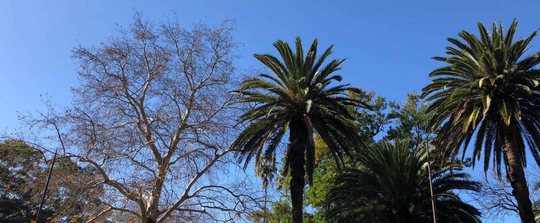 Letter from Sydney: Of food made for instagram and the journey towards NDC, diversity and chatbots