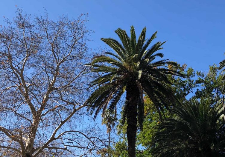 Letter from Sydney: Of food made for instagram and the journey towards NDC, diversity and chatbots