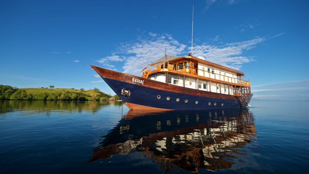 Rascal Voyages | Conservation International | Exploration Series | WiT