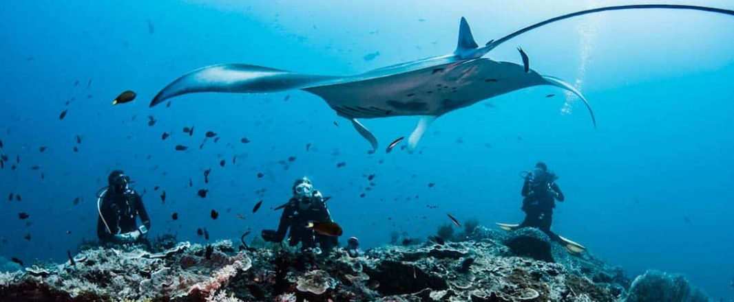 Can you enjoy a luxury cruise while still conserving the environment? Rascal Voyages wants to make it happen