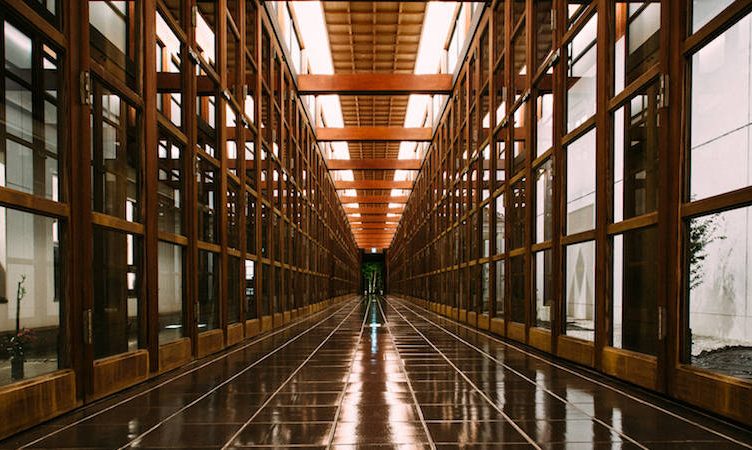Bear Luxe Japan launches B2B portal to address luxury travel market