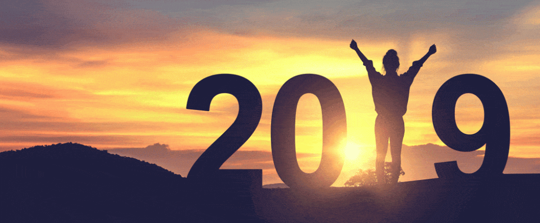Defiance by design and the big themes for 2019. Happy new year