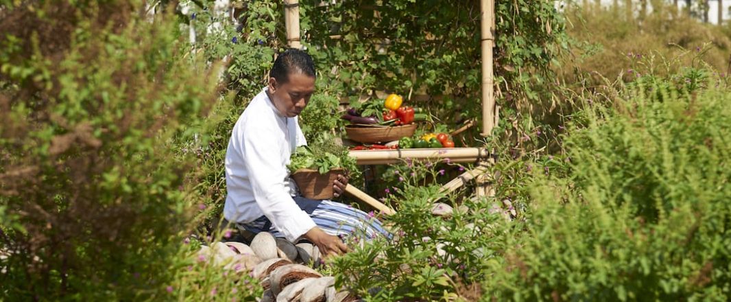 How Alila achieved “zero waste to landfill” in Bali: What else can independent hotels do