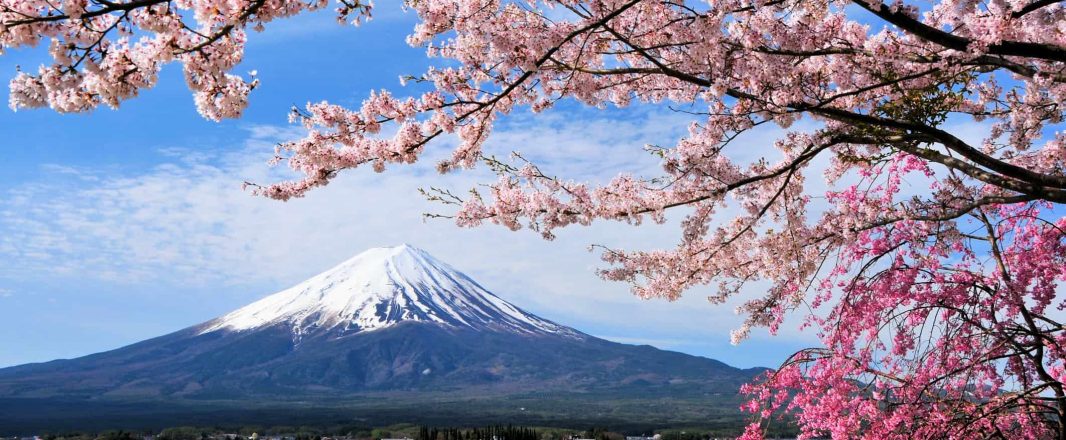 The road to Tokyo 2020 and beyond: WiT Japan & North Asia returns to ask the tough questions