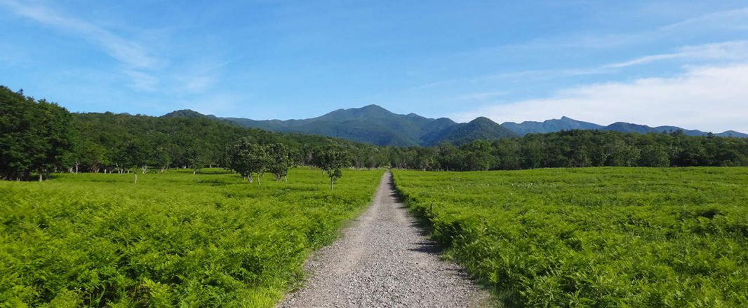 Tours & activities: continued growth, walking and eco tours top