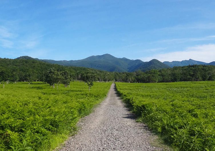 Tours & activities: continued growth, walking and eco tours top