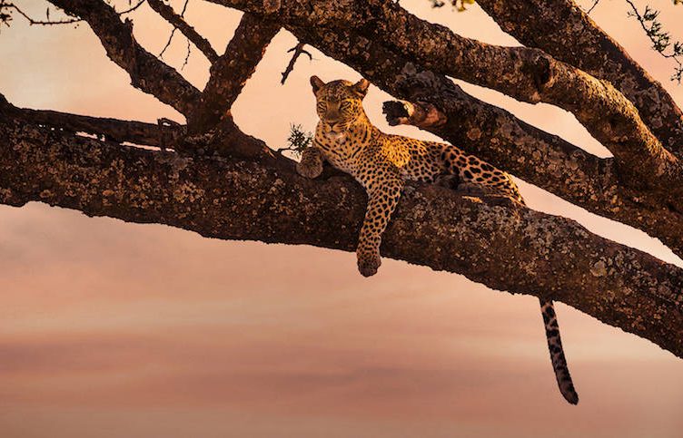 Startup Spotlight: Tribal Tourist inspires adventure seekers in Africa
