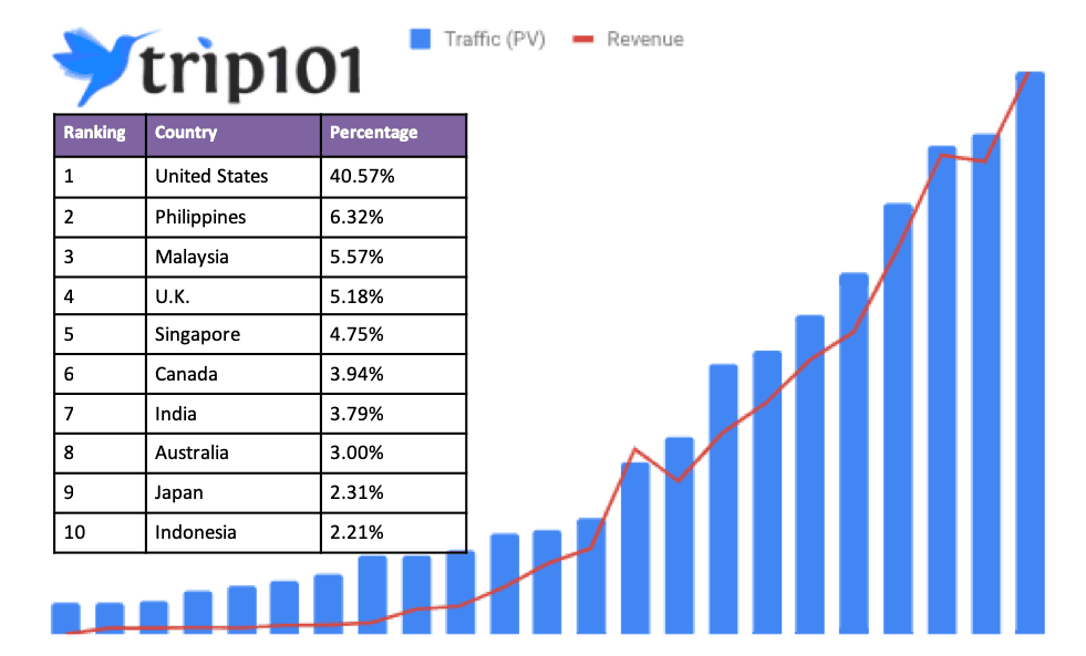 Trip101 | Traffic and Revenue Growth | WiT