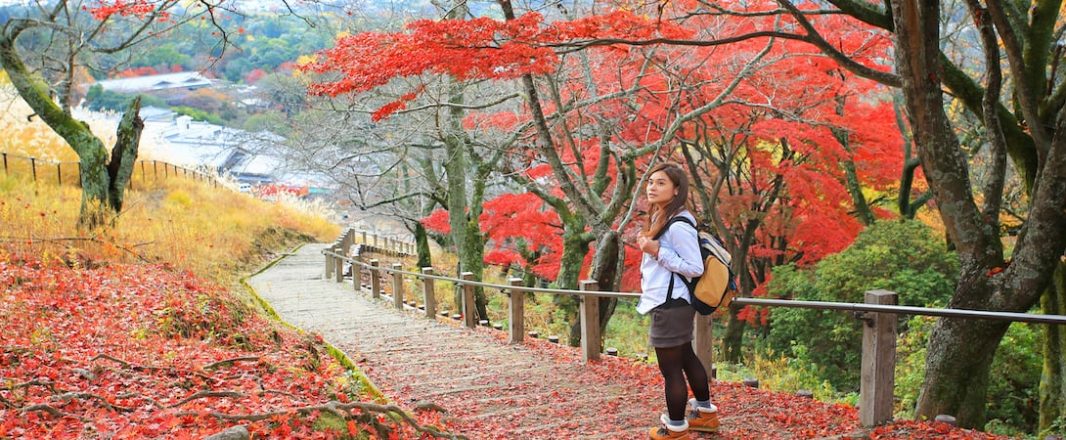 The Wrap: Lost in translation in Japan? No worries, Miko’s here to help