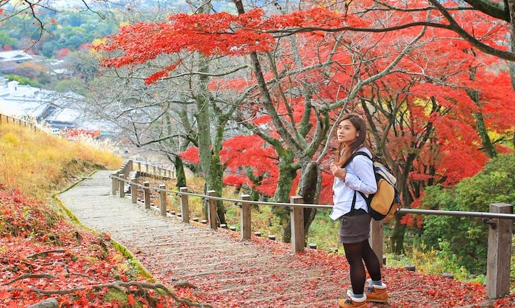 The Wrap: Lost in translation in Japan? No worries, Miko’s here to help