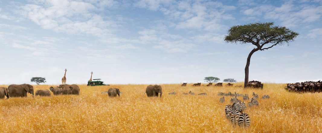 New investor in Travelstart gives it access to funds to own Africa